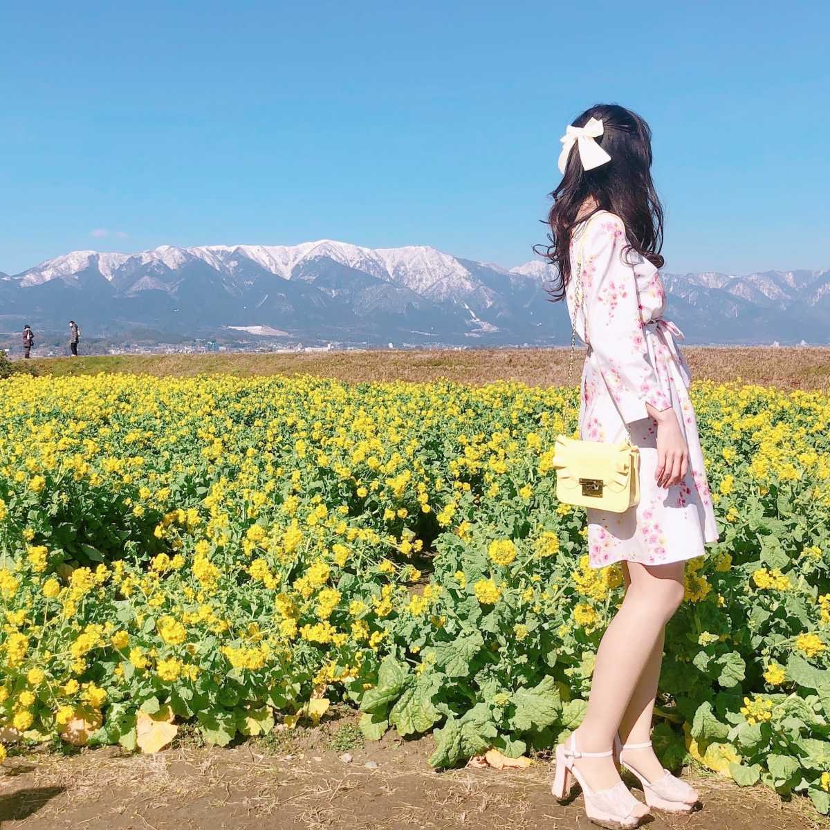 🌼 제1 나기사 공원 (다이이치 나기사 코엔)